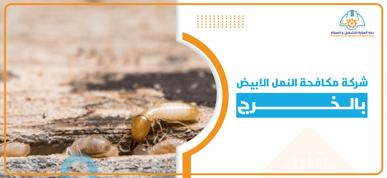 شركة مكافحة النمل الابيض بالخرج