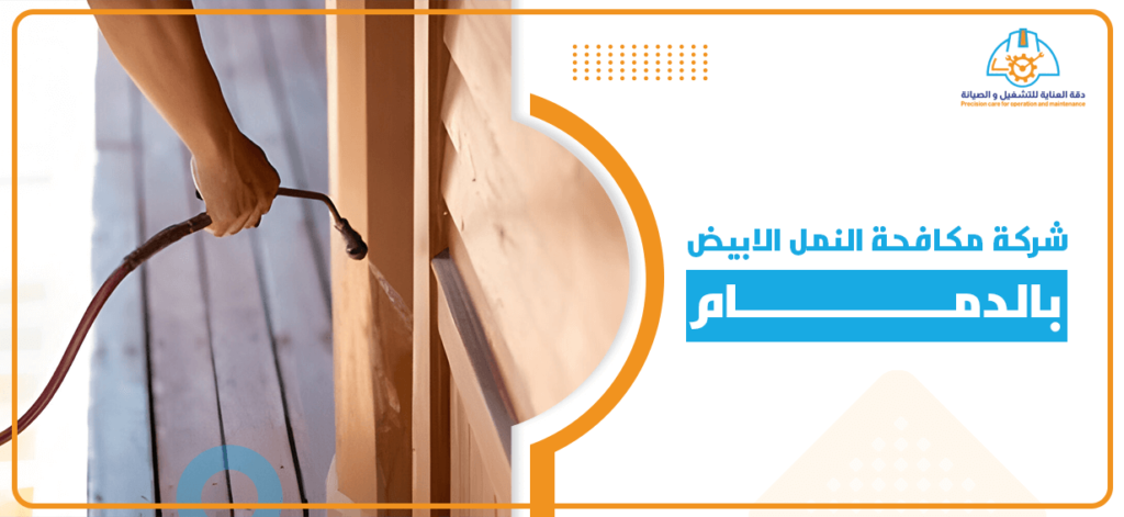 شركة مكافحة النمل الابيض بالدمام