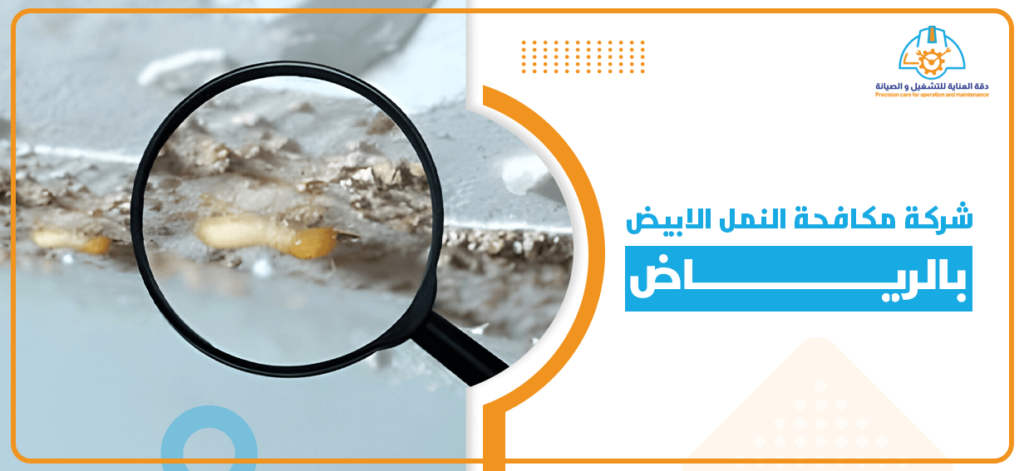 شركة مكافحة النمل الابيض بالرياض