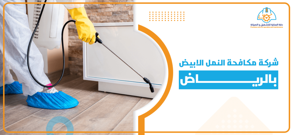 شركة مكافحة النمل الابيض بالرياض