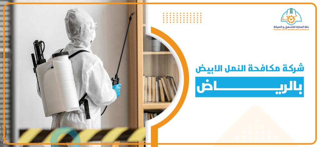 شركة مكافحة النمل الابيض بالرياض